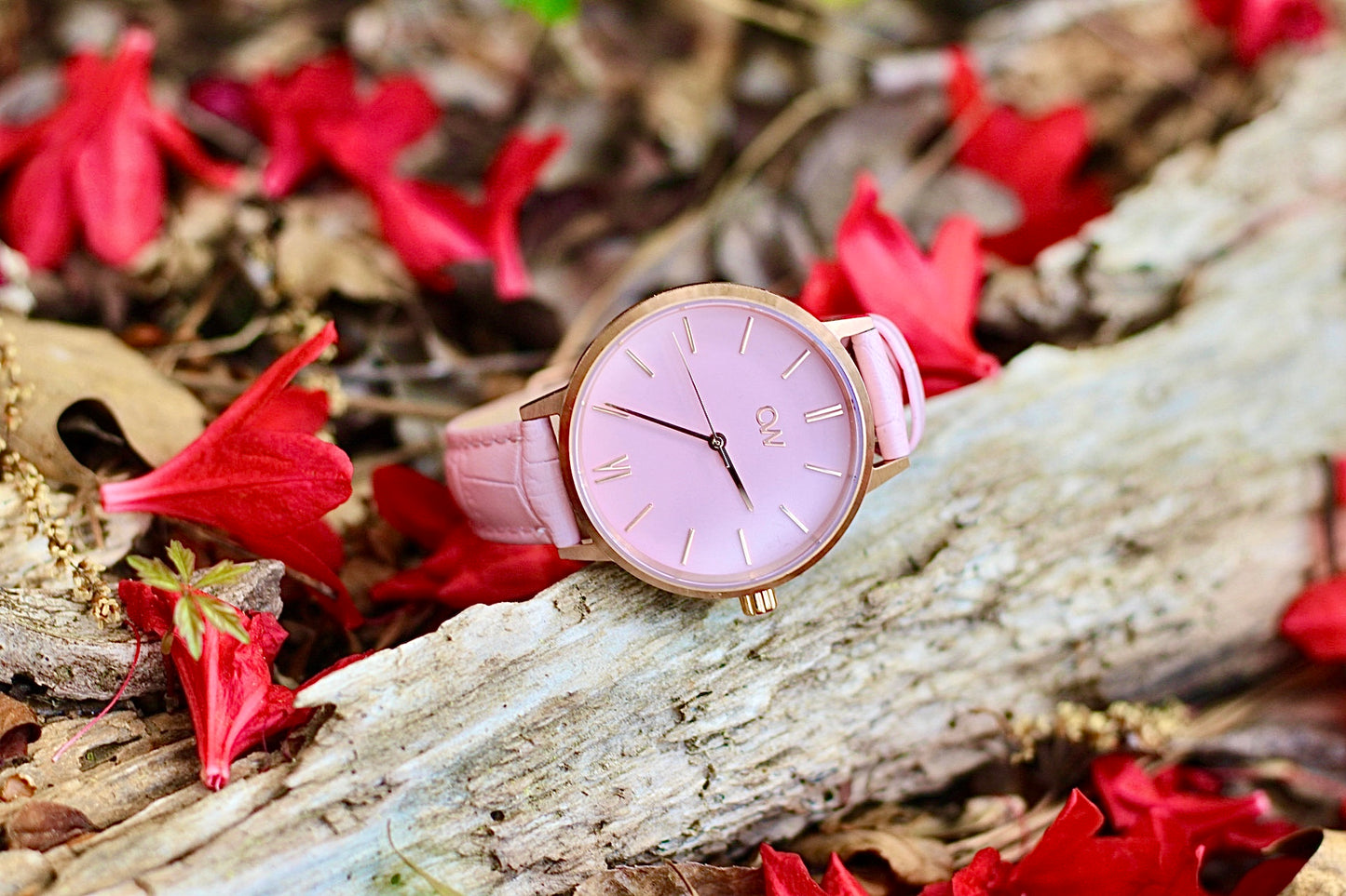 Rose 38mm-Women