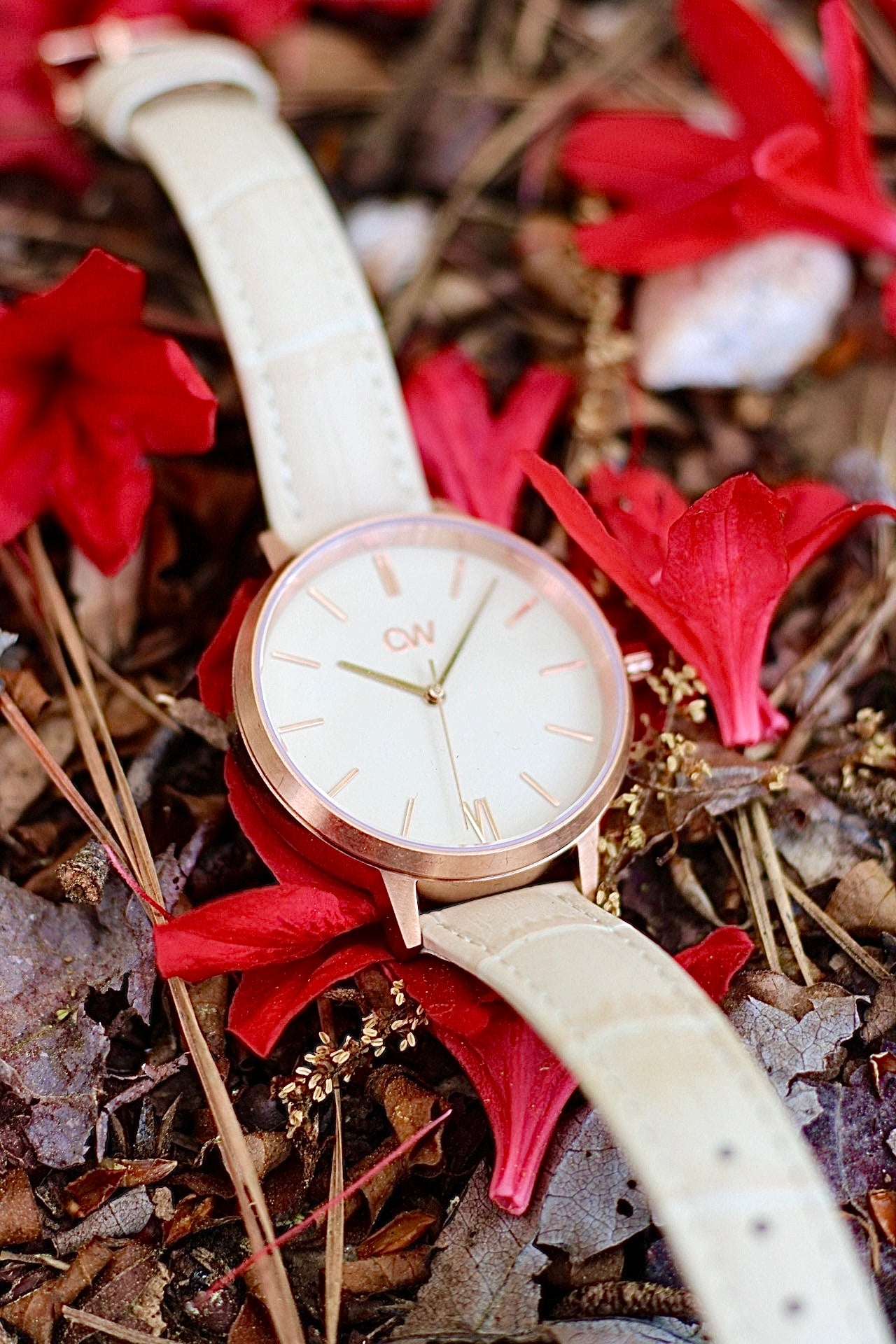 Champagne 38mm-Women