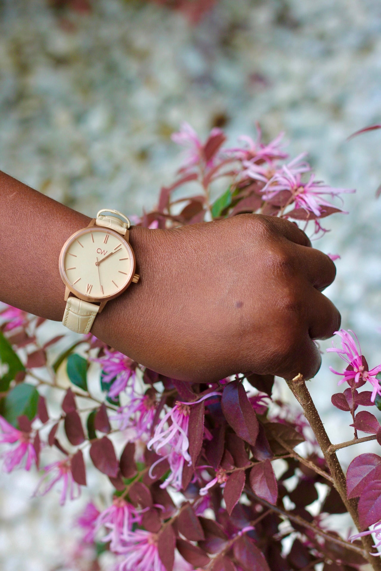 Champagne 38mm-Women